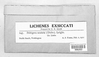 Image Associated With the Occurence